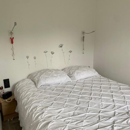 Mont Blanc Holidays Dans Residence Avec Gardien 살랑쉬 외부 사진