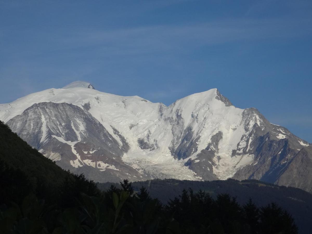 Mont Blanc Holidays Dans Residence Avec Gardien 살랑쉬 외부 사진